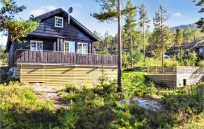 Beautiful home in Vrådal with Jacuzzi, WiFi and 5 Bedrooms #399